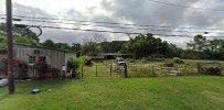 Mouillier Salvage JunkYard in Lafayette (LA)