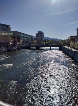 Reno JunkYard in Reno (NV) - photo 4