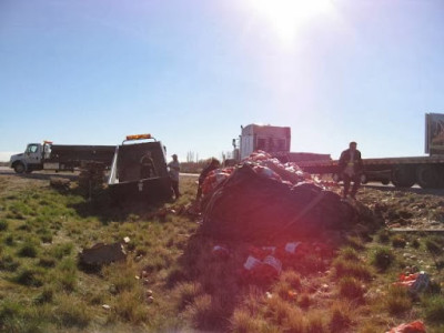 Stauffer's Towing & Recovery JunkYard in West Valley City (UT) - photo 4