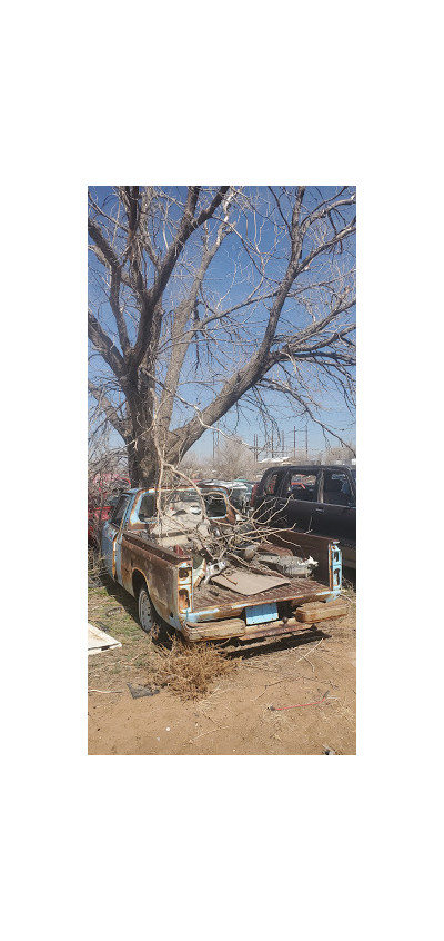 Cherry Avenue Auto Parts JunkYard in Amarillo (TX) - photo 2