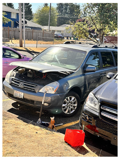 Green River Auto JunkYard in Pacific (WA) - photo 2