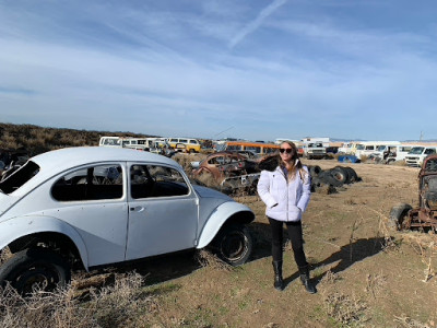 Bug Ranch Idaho JunkYard in Meridian (ID) - photo 1