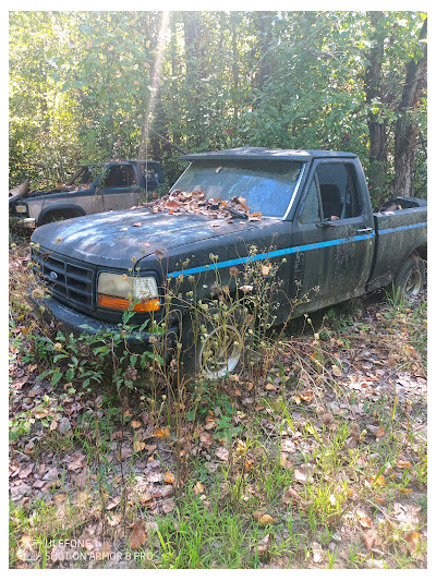 Red Bank Auto Parts JunkYard in Evansville (IN) - photo 4