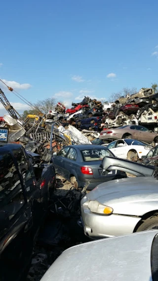 Alvy Wise Salvage Yard JunkYard in Tonganoxie (KS) - photo 2