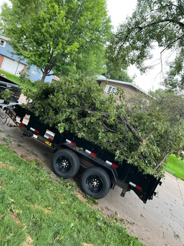 TLC Junk Hauling and Yard Waste Removal Of Omaha - photo 3