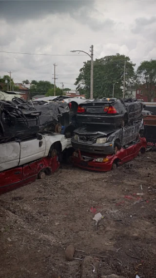 River City Auto Salvage JunkYard in St. Louis (MO) - photo 3