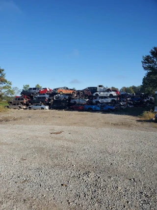 Hamer Road Auto Salvage LLC JunkYard in Bridgetown (OH) - photo 3