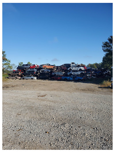 Hamer Road Auto Salvage LLC JunkYard in Bridgetown (OH) - photo 3