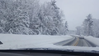 J & J Auto Sales & Salvage JunkYard in Sanford (ME) - photo 4