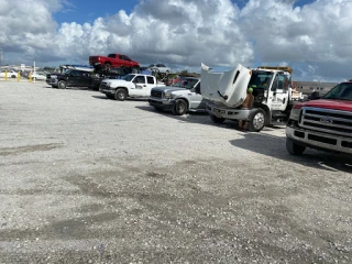 Copart - Miami North JunkYard in Opa-locka (FL) - photo 4