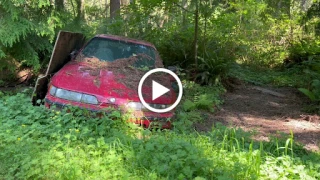 Bellevue Junk Car Removal - photo 1