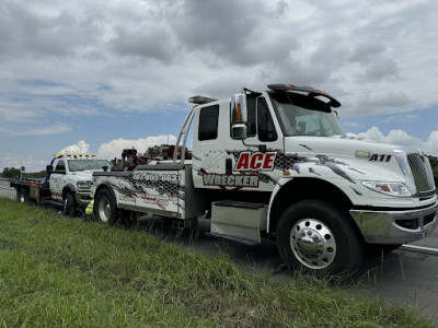 Ace Wrecker JunkYard in Orlando (FL) - photo 2