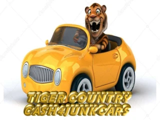 Tiger Country Cash 4 Junk Cars|We Buy Junk Cars - photo 1