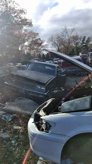 East Freetown Auto Salvage JunkYard in New Bedford (MA) - photo 3