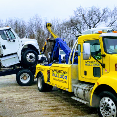 American Bulldog Towing and Recovery Corp. JunkYard in Joliet (IL) - photo 2