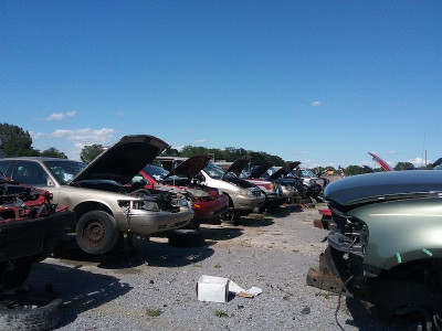 CFC Auto Salvage Pick & Pull JunkYard in Tullahoma (TN) - photo 3