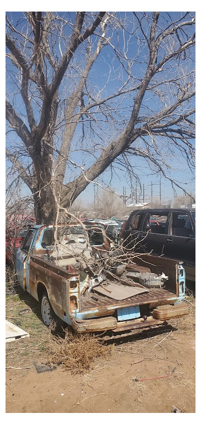 Cherry Avenue Auto Parts JunkYard in Amarillo (TX) - photo 2
