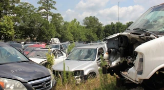 Wilmington Auto Salvage and Sales Inc JunkYard in Castle Hayne (NC) - photo 2