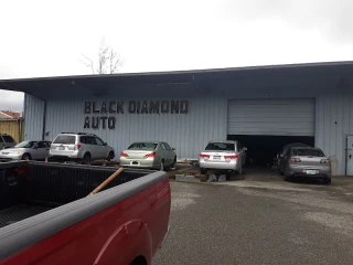 Black Diamond Auto Wrecking - photo 1