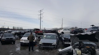 AAA Auto Wrecking - photo 3