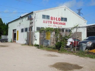Bi-Lo Auto Salvage - photo 2