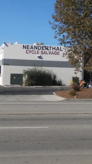 Neanderthal Cycle Salvage - photo 1