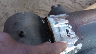 Waltrip Salvage & Scrap