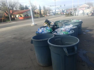 Alejandra's Recycling