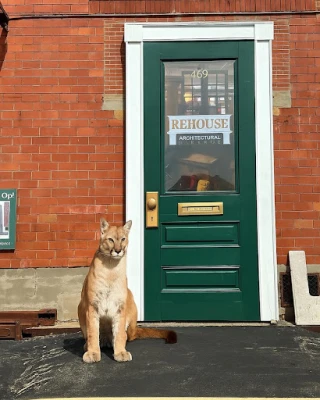 ReHouse Architectural Salvage