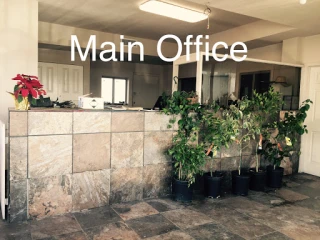 Imports And More Auto Salvage