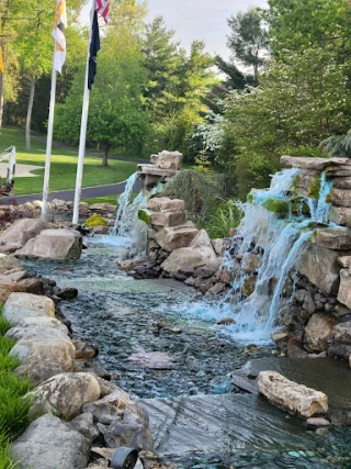 Bayview Auto Wreckers