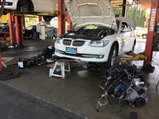 German & Korean Auto