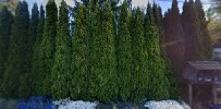 A1 Hauling - JunkerChunker