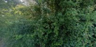 All About Auto Wrecking