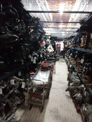 SOUTH FLORIDA AUTO RECYCLING