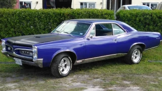 Wayne's Collision Center