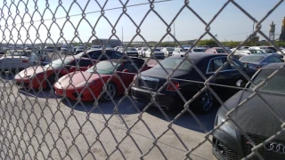 Copart - West Palm Beach