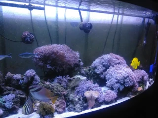 Arite Used Auto Parts