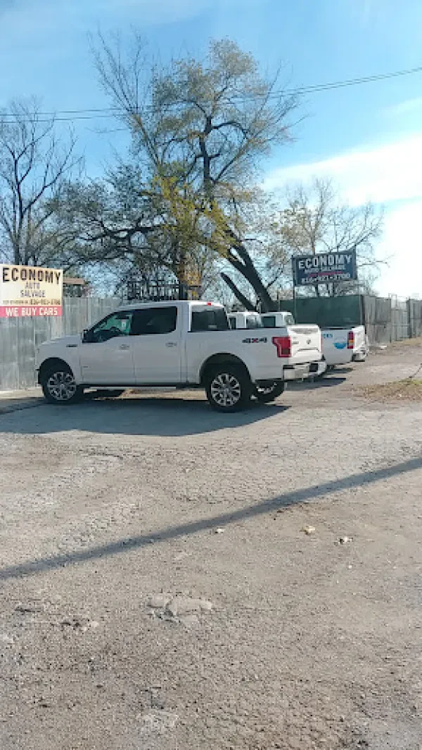 Economy Auto Salvage - photo 3