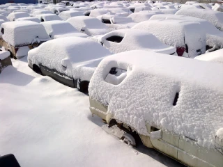 Big Junkyard & Auto Gallery