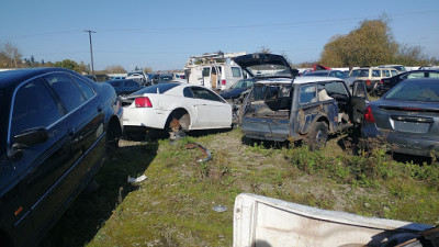 Grand Forks Auto Wrecking JunkYard in Puyallup (WA) - photo 3
