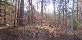 Outback Salvage Yard