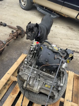 Brunswick Auto Recycling