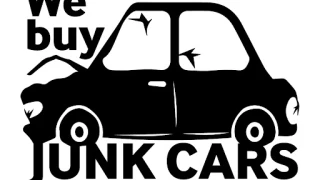 Alz Junk and metal llc