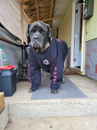 J & S Scrap Metal & Recycling