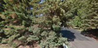 Paul Goodman Salvage