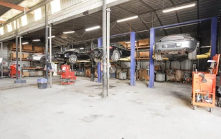 Specialized German Recycling