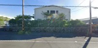 Junk Yard Dogs - Hilo & Kona, Big Island Hawaii