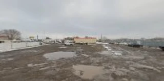 Thomas Junk Automotive