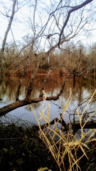 Teel's Auto Parts & Used Cars